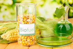 Ruan Minor biofuel availability