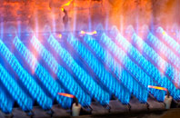 Ruan Minor gas fired boilers